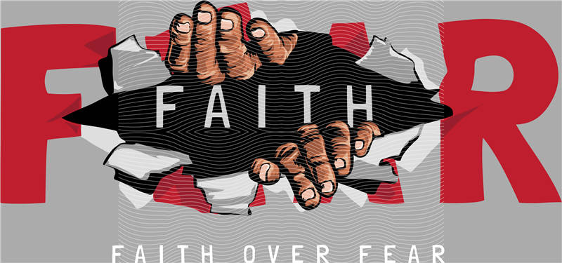 latest edition-KNY 491